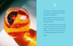 Brand Identity And Packaging For Verano Spritz - thumbnail 3