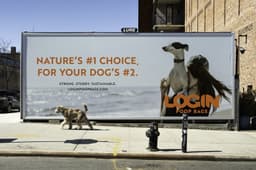 Brand Voice And Digital Campaign For Login Poop Bags - thumbnail 4