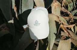 Brand Identity For Fore-té Club Attire - thumbnail 9