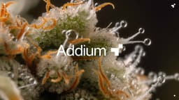 Brand Identity For Agri-tech Innovator Addium - thumbnail 2