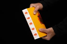 Editorial Design For Mutantes Book - thumbnail 4