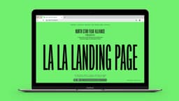 Brand Identity For North Star Film Alliance - thumbnail 5