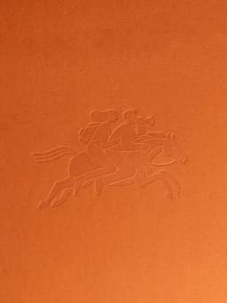 Brand Refresh For A Historic Alpine Hotel  - thumbnail 4