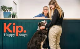 Brand Identity For Kip Happy Stays - thumbnail 3