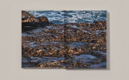 Brand Identity For Northsea Coastal Development - thumbnail 9
