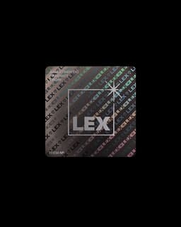 Visual Identity For Lex Records - thumbnail 2
