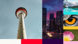 Brand Identity For Calgary Wild Fc - thumbnail 3