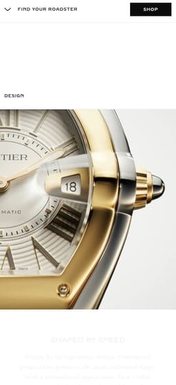 Product Landing Page For A Luxury Watch Collection  - thumbnail 8