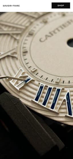 Product Landing Page For A Luxury Watch Collection  - thumbnail 9