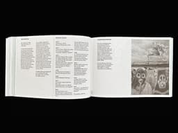 Editorial Design For The 23rd Fondation Pernod Ricard Prize Catalogue - thumbnail 9