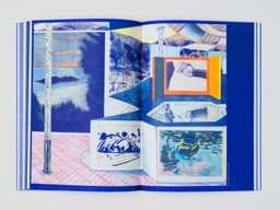 Editorial Design For Villa Albertine Museum Series - thumbnail 7