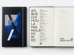Visual Identity For Villa Albertine - thumbnail 7