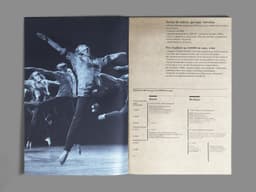 Seasonal Visual Identity For Conservatoire Musique Et Danse De Lyon - thumbnail 7