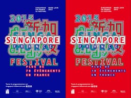 Visual Identity For Festival Singapour En France - thumbnail 2