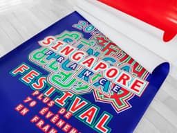 Visual Identity For Festival Singapour En France - thumbnail 3