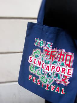 Visual Identity For Festival Singapour En France - thumbnail 5