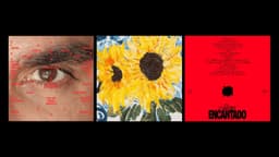 Visual Identity And Publication For Silva’s Encantado Album - thumbnail 9