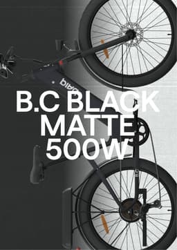 Brand Identity For Baiq Electric Mobility - thumbnail 2