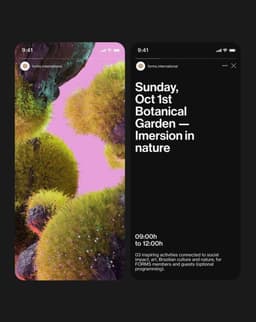 Brand Identity For Forms Cultural Community - thumbnail 5