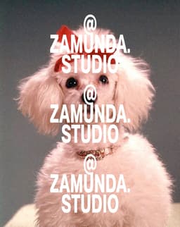 Brand Identity For Zamunda Audiovisual Studio - thumbnail 7