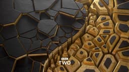 Brand Refresh For Bbc - thumbnail 2