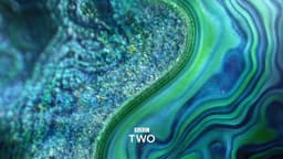 Brand Refresh For Bbc - thumbnail 4