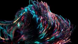 Motion Identity For Palms Nightclub - thumbnail 8