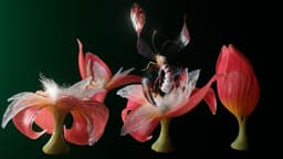 Experimental Brand Film For Z By Hp - thumbnail 4