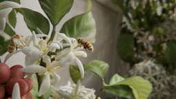 Immersive Campaign For Nespresso - thumbnail 2