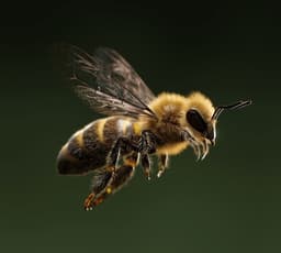 Immersive Campaign For Nespresso - thumbnail 3