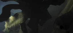 Live Performance Visuals For Lfos - thumbnail 2