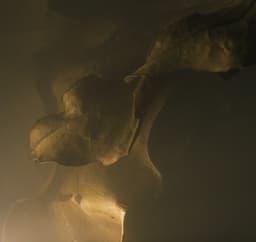 Live Performance Visuals For Lfos - thumbnail 9