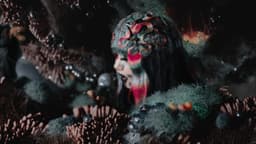 Experimental Film And Live Show Visuals For Bjork's Fossora - thumbnail 2
