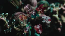 Experimental Film And Live Show Visuals For Bjork's Fossora - thumbnail 7