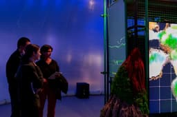 Generative Audiovisual Installation For Digital Impact - thumbnail 7