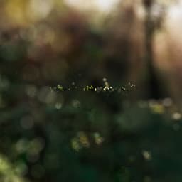 Digital Campaign For Arc'teryx - thumbnail 9