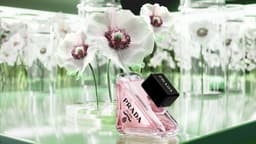 Digital Campaign For Prada Fragrance Launch - thumbnail 2