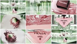 Digital Campaign For Prada Fragrance Launch - thumbnail 8
