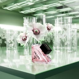 Digital Campaign For Prada Fragrance Launch - thumbnail 9