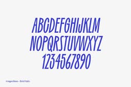 Visual Identity For Gaiyo Mobility App - thumbnail 8
