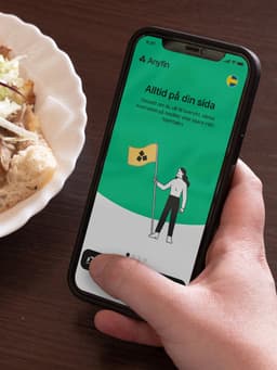 App And Design System For Anyfin - thumbnail 4