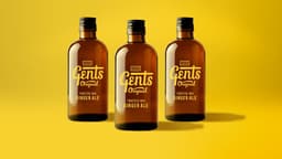 Packaging Design For Gents Ginger Ale - thumbnail 8