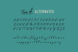 Retro Script Font Design For Retro Supply Co. - thumbnail 3
