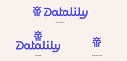 Rebrand For Research-driven Content Marketing Studio Datalily - thumbnail 3