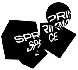 Brand Identity For Sprintspace - thumbnail 3