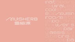 Brand Identity For Mursherb - thumbnail 3