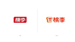 Brand Upgrade For Taoli - thumbnail 2