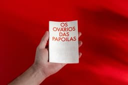 Exhibition Design For The Ovaries Of The Poppies - thumbnail 3