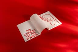 Exhibition Design For The Ovaries Of The Poppies - thumbnail 6