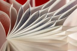 Exhibition Design For The Ovaries Of The Poppies - thumbnail 9